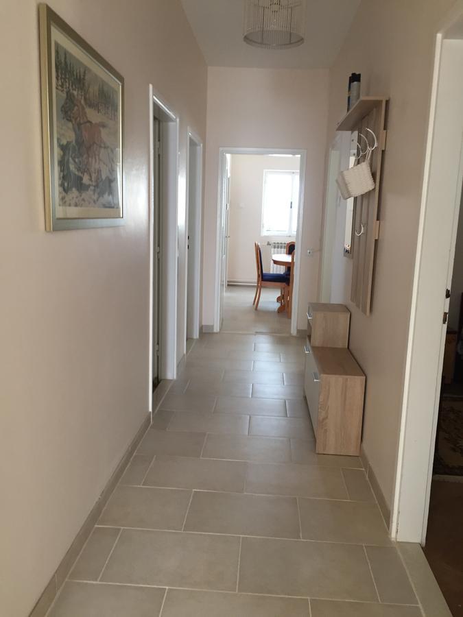 Guest House Punta Grzan Petrcane Exterior photo